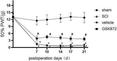 Receptor-Interacting Protein Kinase 3 Inhibition Relieves Mechanical Allodynia and Suppresses NLRP3 Inflammasome and NF-κB in a Rat Model of Spinal Cord Injury